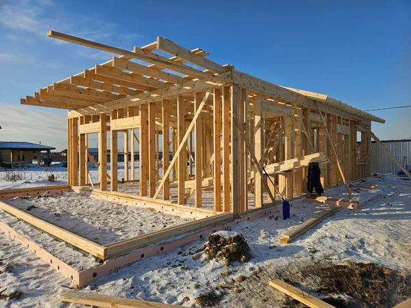 Возведение каркаса и крыши