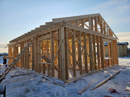 Возведение каркаса и крыши